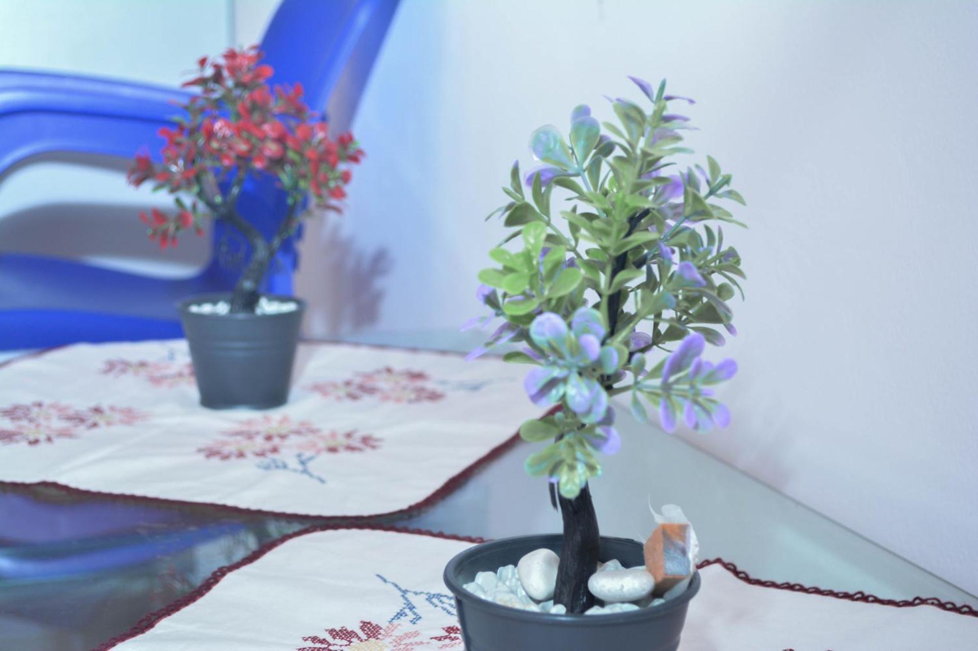 Apartments Villa Luti Stjar المظهر الخارجي الصورة