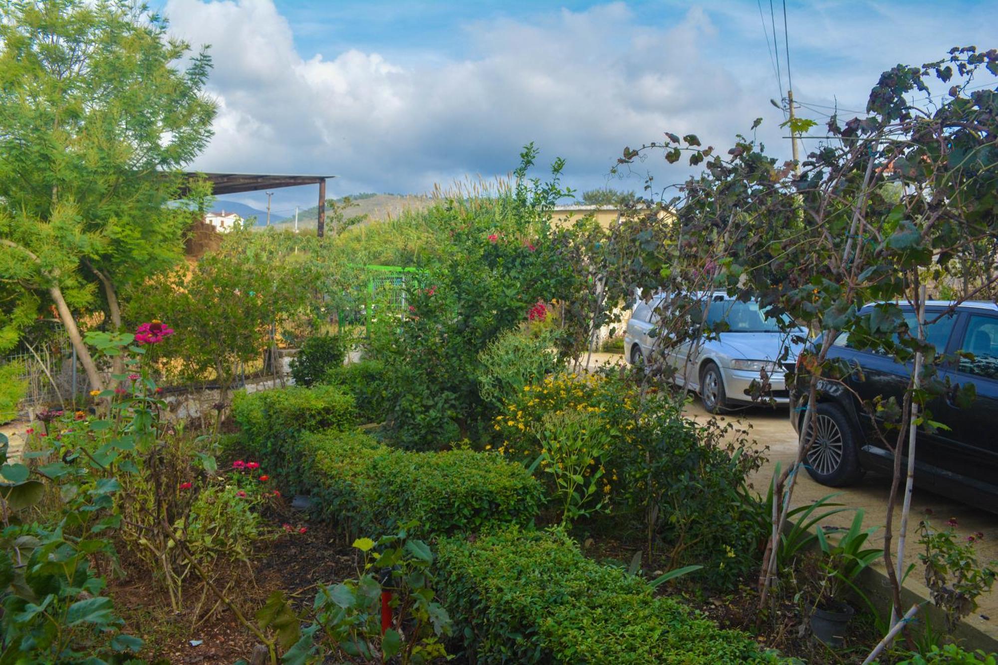 Apartments Villa Luti Stjar المظهر الخارجي الصورة